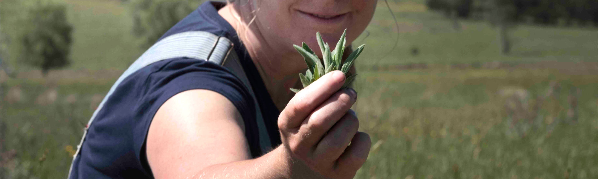  Australian Holistic Management Cooperative 