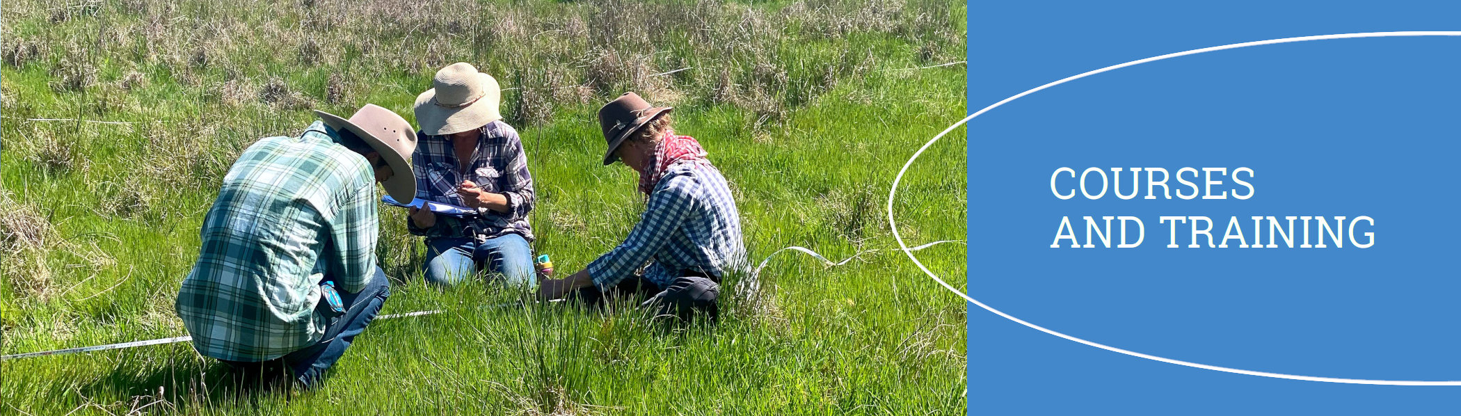 Australian Holistic Management Co-operative